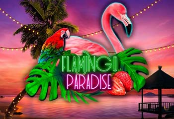 Flamingo Paradise